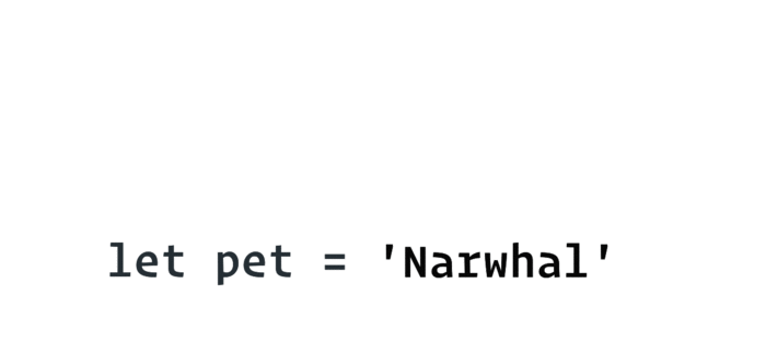 Assigning the "Narwhal" value to the pet variable